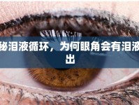 揭秘淚液循環(huán)，為何眼角會(huì)有淚液流出
