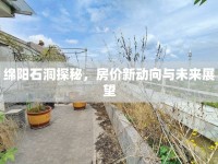 綿陽石洞探秘，房價新動向與未來展望