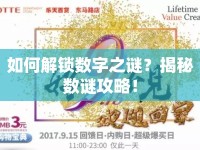 如何解鎖數(shù)字之謎？揭秘數(shù)謎攻略！