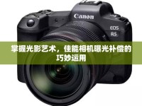 掌握光影藝術(shù)，佳能相機(jī)曝光補(bǔ)償?shù)那擅钸\(yùn)用