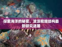 探索海洋的秘密，波浪精細(xì)結(jié)構(gòu)最新研究進(jìn)展
