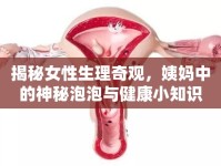 揭秘女性生理奇觀，姨媽中的神秘泡泡與健康小知識