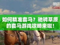 如何精準(zhǔn)套馬？馳騁草原的套馬游戲攻略來(lái)啦！
