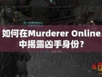 如何在Murderer Online中揭露兇手身份？