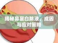 揭秘鼻竇白膿液，成因與應(yīng)對(duì)策略