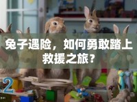 兔子遇險，如何勇敢踏上救援之旅？