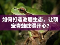 如何打造池塘生態(tài)，讓萌寵青蛙吃得開心？