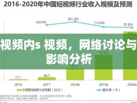 視頻內(nèi)s 視頻，網(wǎng)絡(luò)討論與影響分析