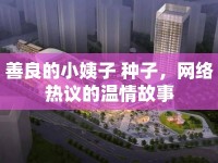 善良的小姨子 種子，網(wǎng)絡(luò)熱議的溫情故事