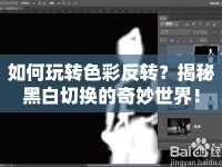 如何玩轉(zhuǎn)色彩反轉(zhuǎn)？揭秘黑白切換的奇妙世界！