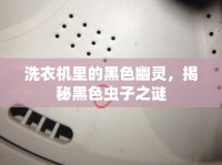 洗衣機里的黑色幽靈，揭秘黑色蟲子之謎