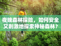 夜晚森林探險，如何安全又刺激地探索神秘森林？