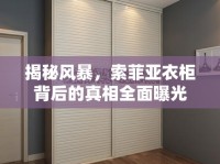 揭秘風(fēng)暴，索菲亞衣柜背后的真相全面曝光
