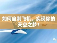 如何自制飛機，實現(xiàn)你的天空之夢？