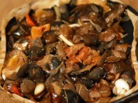 全彩無(wú)翼鳥(niǎo)漫畫(huà)，色彩、創(chuàng)意與情感如何完美交織出視覺(jué)盛宴？