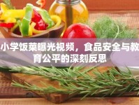 小學飯菜曝光視頻，食品安全與教育公平的深刻反思