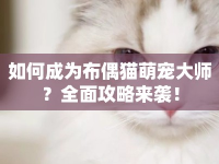 如何成為布偶貓萌寵大師？全面攻略來襲！