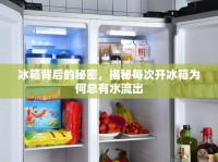 冰箱背后的秘密，揭秘每次開冰箱為何總有水流出