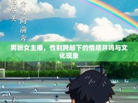 男粉女主播，性別跨越下的情感共鳴與文化現(xiàn)象