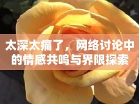 太深太痛了，網(wǎng)絡(luò)討論中的情感共鳴與界限探索