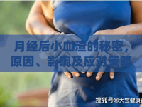 月經(jīng)后小血渣的秘密，原因、影響及應(yīng)對策略