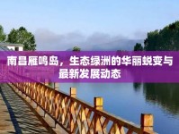南昌雁鳴島，生態(tài)綠洲的華麗蛻變與最新發(fā)展動態(tài)