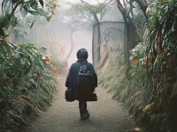 新手鬼王如何在誅仙手游中崛起于黑暗？