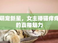 萌寵新星，女主播貓癢癢的直播魅力