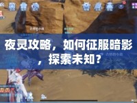 夜靈攻略，如何征服暗影，探索未知？