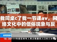 我同桌c了我一節(jié)課av，網(wǎng)絡(luò)文化中的低俗現(xiàn)象與反思