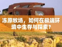 凍原牧場，如何在極端環(huán)境中生存與探索？