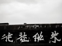 神武手游千速如何加點(diǎn)？揭秘提升速度與戰(zhàn)斗效率的秘籍！
