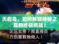 天啟鳥，如何解鎖神秘之鳥的終極挑戰(zhàn)？