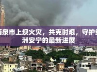 酒泉市上壩火災，共克時艱，守護綠洲安寧的最新進展