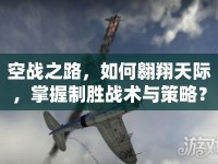 空戰(zhàn)之路，如何翱翔天際，掌握制勝戰(zhàn)術(shù)與策略？