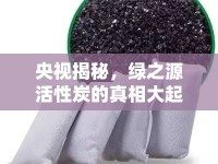央視揭秘，綠之源活性炭的真相大起底