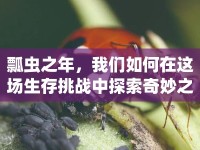 瓢蟲之年，我們?nèi)绾卧谶@場生存挑戰(zhàn)中探索奇妙之旅？