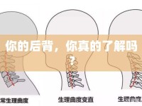 你的后背，你真的了解嗎？