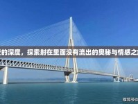 愛的深度，探索射在里面沒有流出的奧秘與情感之旅