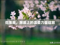 花落既，屏幕上的溫柔力量綻放