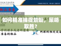 如何精準(zhǔn)捕捉蜻蜓，策略取勝？
