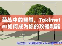 草叢中的智慧，Tokimeter如何成為你的攻略利器？