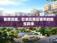 春雨潤城，石家莊雨后城市的新生韻律
