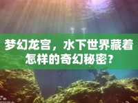 夢(mèng)幻龍宮，水下世界藏著怎樣的奇幻秘密？