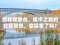 塔林觀景臺(tái)，城市之巔的壯麗景色，你探索了嗎？