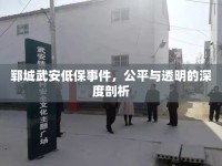 鄆城武安低保事件，公平與透明的深度剖析