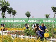 福建解封最新動態(tài)，春暖花開，共迎復(fù)蘇