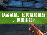 峽谷單機(jī)，如何征服挑戰(zhàn)，探索未知？
