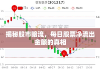 揭秘股市暗流，每日股票凈流出金額的真相