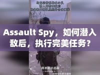 Assault Spy，如何潛入敵后，執(zhí)行完美任務(wù)？